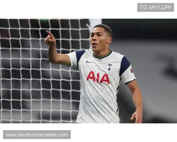 维尼修斯在转会市场的价值大幅飙升，成为值得关注的欧洲顶级球员