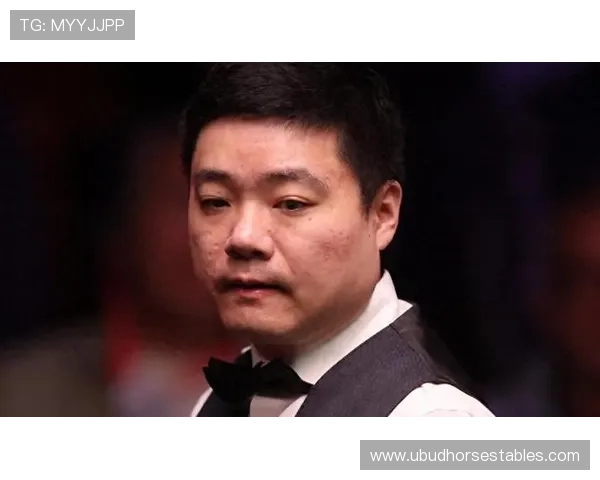 明星球员百科：近期表现稳健，状态持续提升备受期待