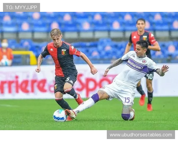 热那亚本赛季控球能力表现稳健,中场组织效率持续提升