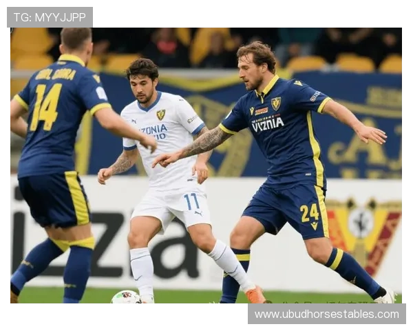 格纳布里近期比赛表现稳健，进攻端持续提升