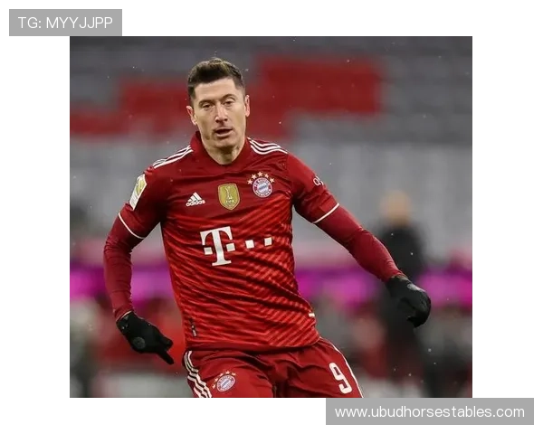 莱万多夫斯基国家队进球纪录持续提升，领跑波兰队史射手榜