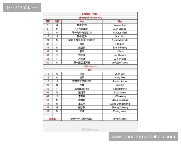 欧洲杯伤病名单