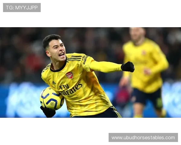 加布里埃尔·马丁内利