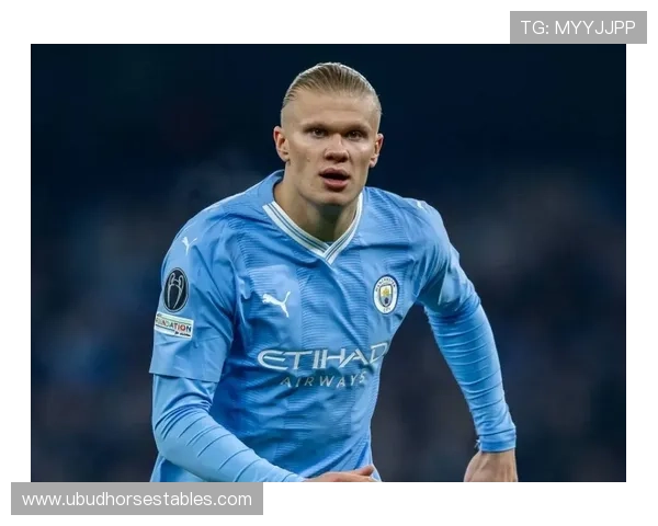 哈兰德伤病恢复 哈兰德伤病恢复