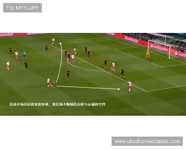 维特斯逼抢体系