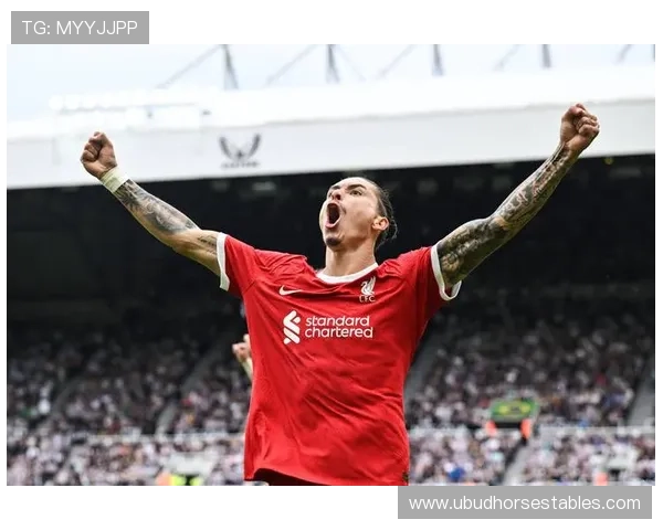 努涅斯：从乌拉圭草根到利物浦9号的逆袭解析