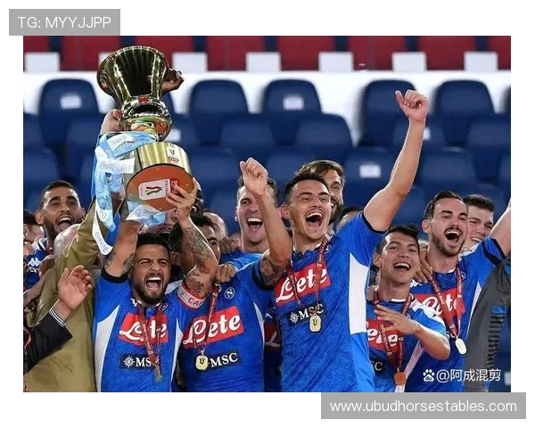 奥斯梅恩夺冠赛季解析：核心表现如何推动那不勒斯登顶