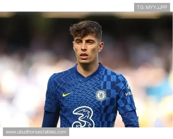 切尔西天才云集却难整合，团队化学反应成赛季隐忧