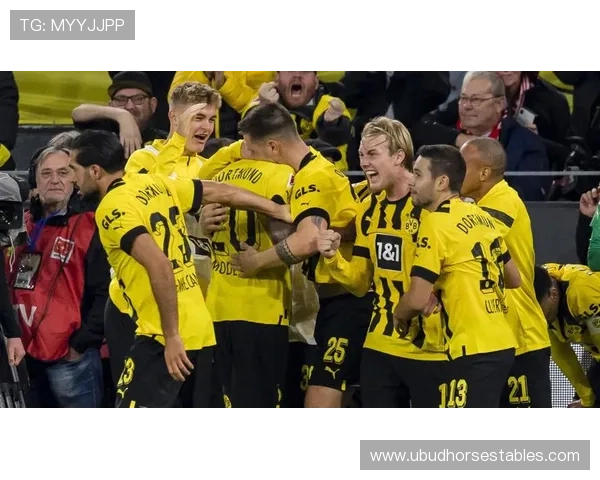 多特蒙德年轻阵容敢打敢拼，关键战表现稳定性面临考验