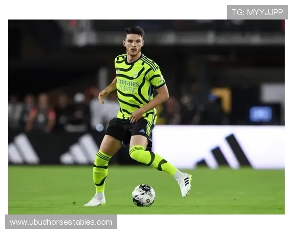 赖斯与罗德里:现代后腰战术角色与拦截数据对比解析 赖斯与罗德里:现代后腰战术角色与拦截数据对比解析