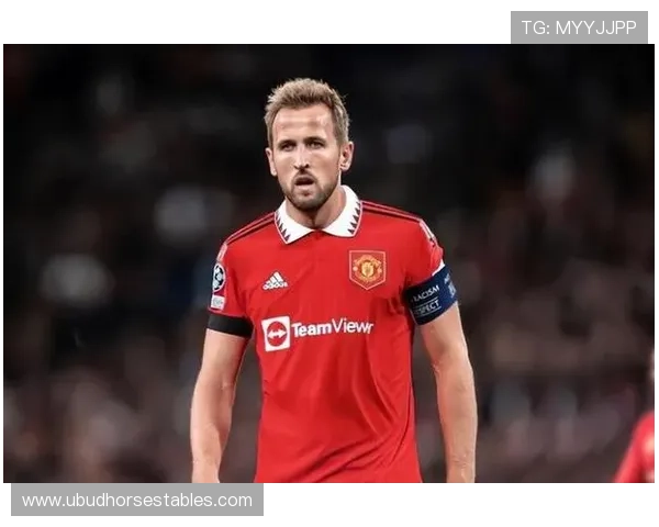 哈里·凯恩进攻参与度解析:从终结者到组织核心的转型 哈里·凯恩进攻参与度解析:从终结者到组织核心的转型