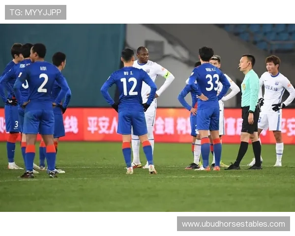 上海申花外援依赖加剧,多点进攻结构难以形成是否制约争冠形势? 上海申花外援依赖加剧,多点进攻结构难以形成是否制约争冠形势?