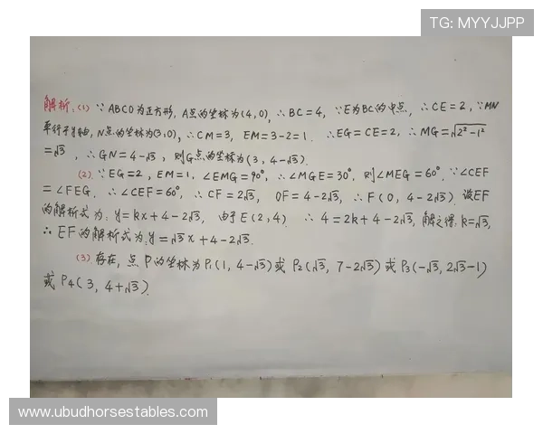 科特迪瓦E组专题深度解读