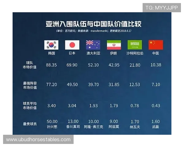 世界杯A组韩国队攻防数据全面分析 世界杯A组韩国队攻防数据全面分析